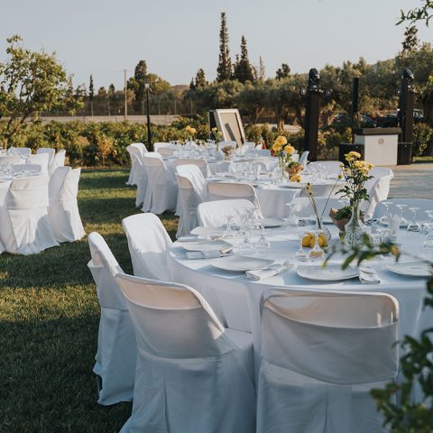 Bd01 Rl1efn9w8sjyygbvlodrhog80zw76f36ydl5un5olc