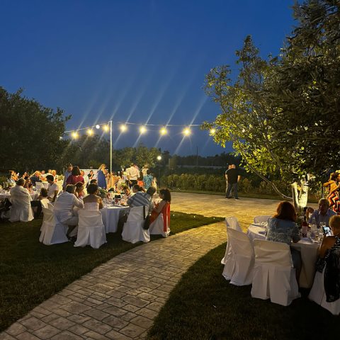 Wed22 Rl1e18ezg8toxp9jrg3p9bds4axl5hvcz1h4xwj000